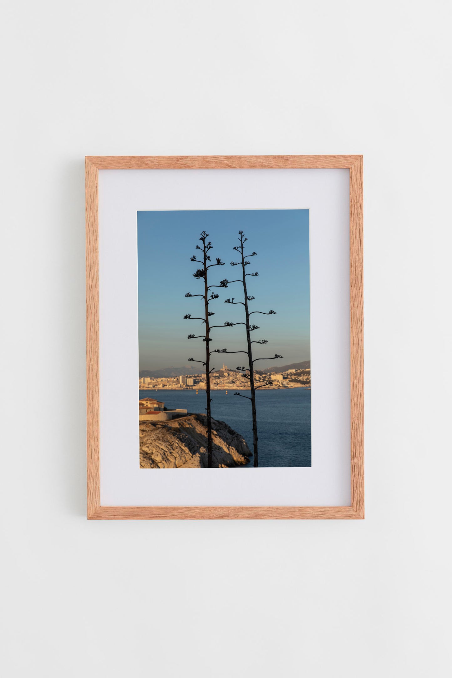 Agaves du Frioul, Sunset